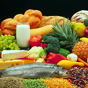 Alimentación